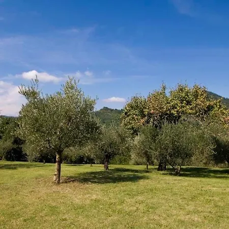 Sleeps 6 With Pool And Wifi Brisighella
