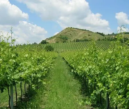 Sleeps 6 With Pool And Wifi Apartmán Brisighella